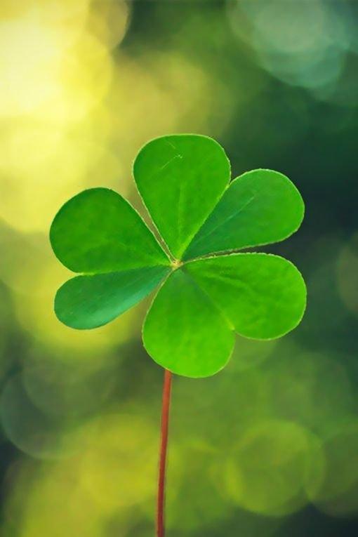 f57a24c2d84f4250f57af1e49ce69d2e